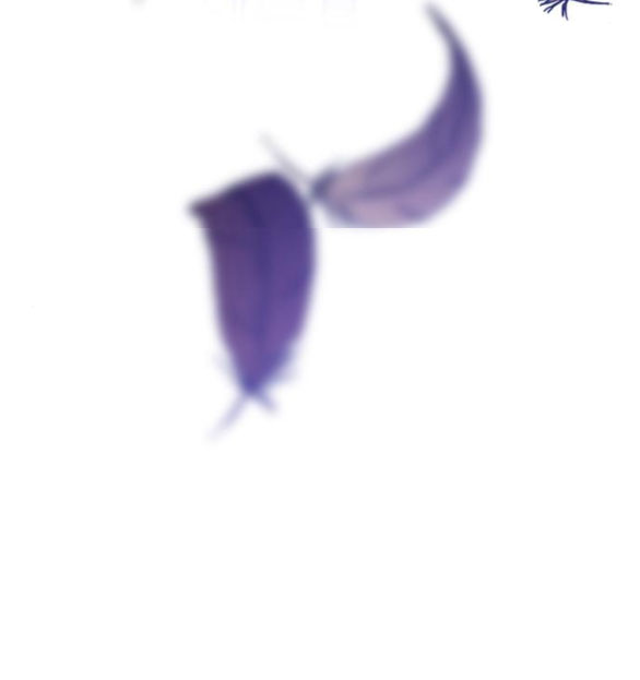 cách hiệp sĩ sống như một tiểu thư chapter 93.2 40