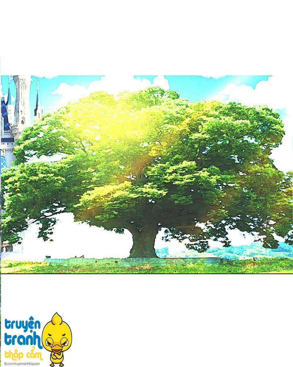 cường sủng hào môn tiểu manh thê chapter 3 6