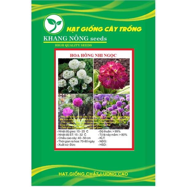 Hạt giống hoa hồng nhi ngọc mix màu KNS3630 - Gói 50 hạt
