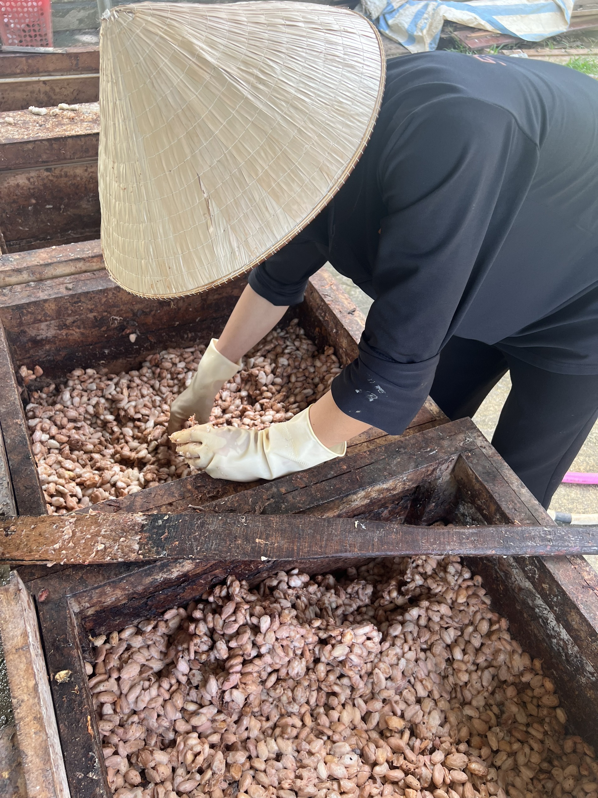 Hạt cacao thô lên men 1kg O'PETIT