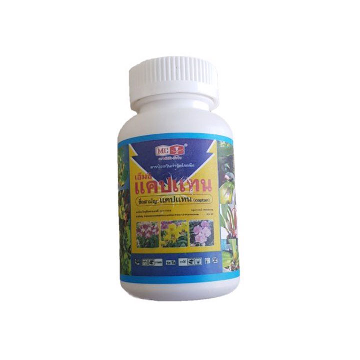 CHỐNG THỐI NHŨN THÁI LAN - LỌ 50GR