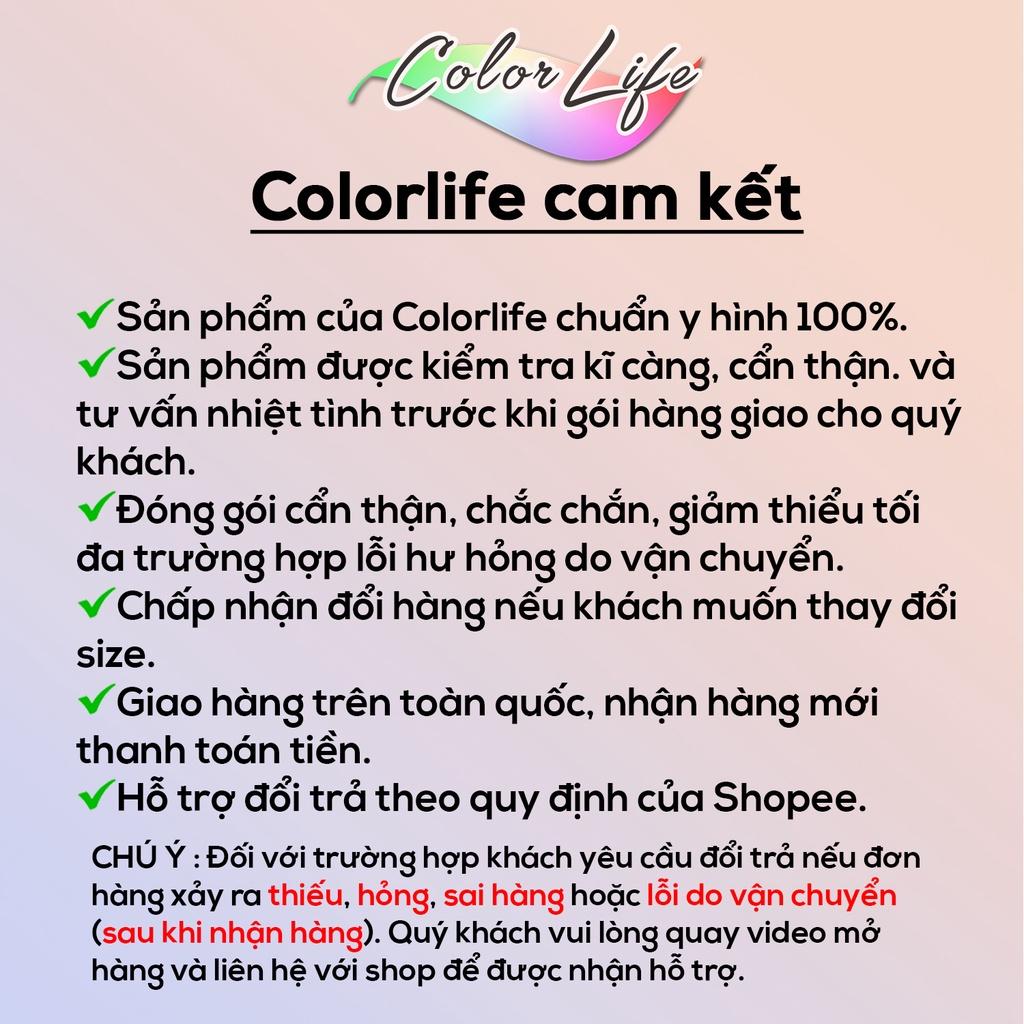 TRANH TREO TƯỜNG TROPICAL ĐẸP ĐÃ CÓ KHUNG TRANG TRÍ DECOR PHÒNG KHÁCH PHÒNG NGỦ VĂN PHÒNG QUÁN CAFE TRÀ SỮA SEO1