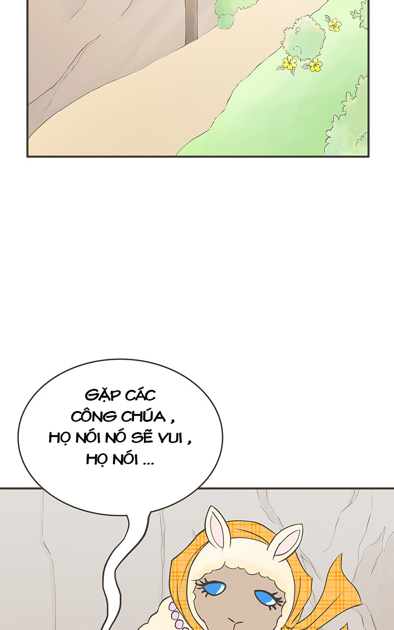 những nàng công chúa bị nguyền rủa chapter 23 11