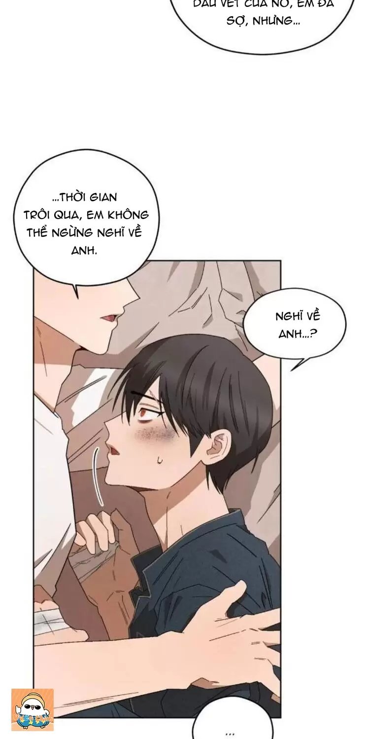 liveta chapter 38 55