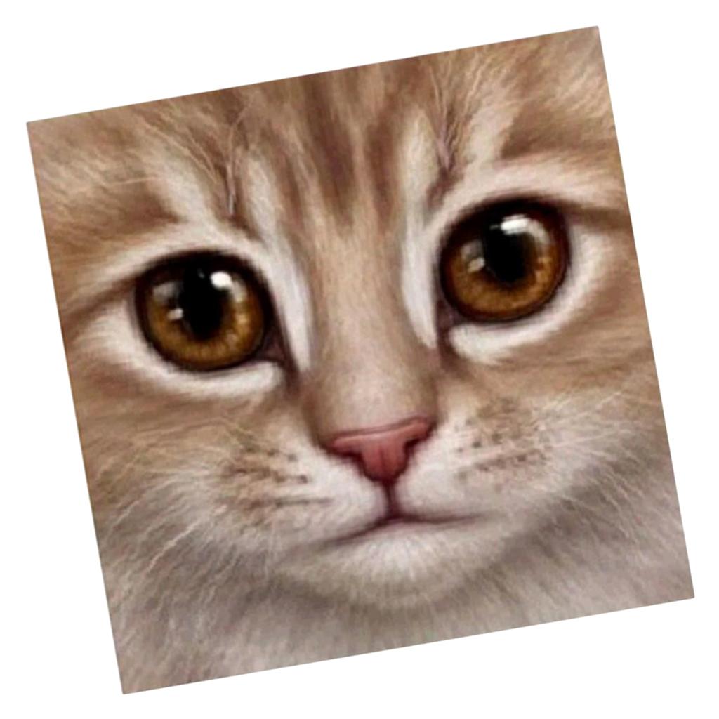 DIY 5D Cat Pattern Diamond Embroidery Rhinestone Painting Cross Stitch Kit