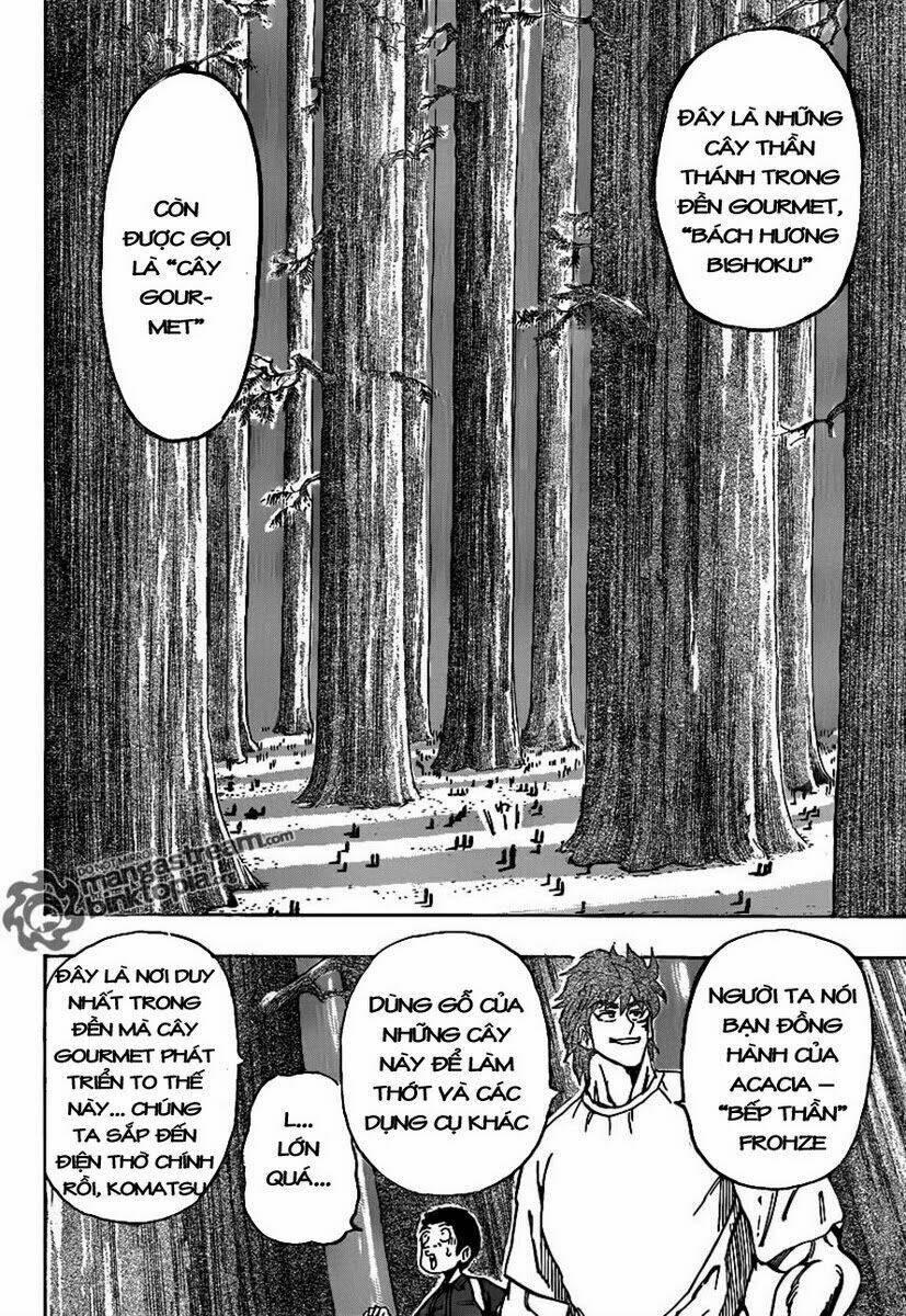 thợ săn ẩm thực chapter 145 10