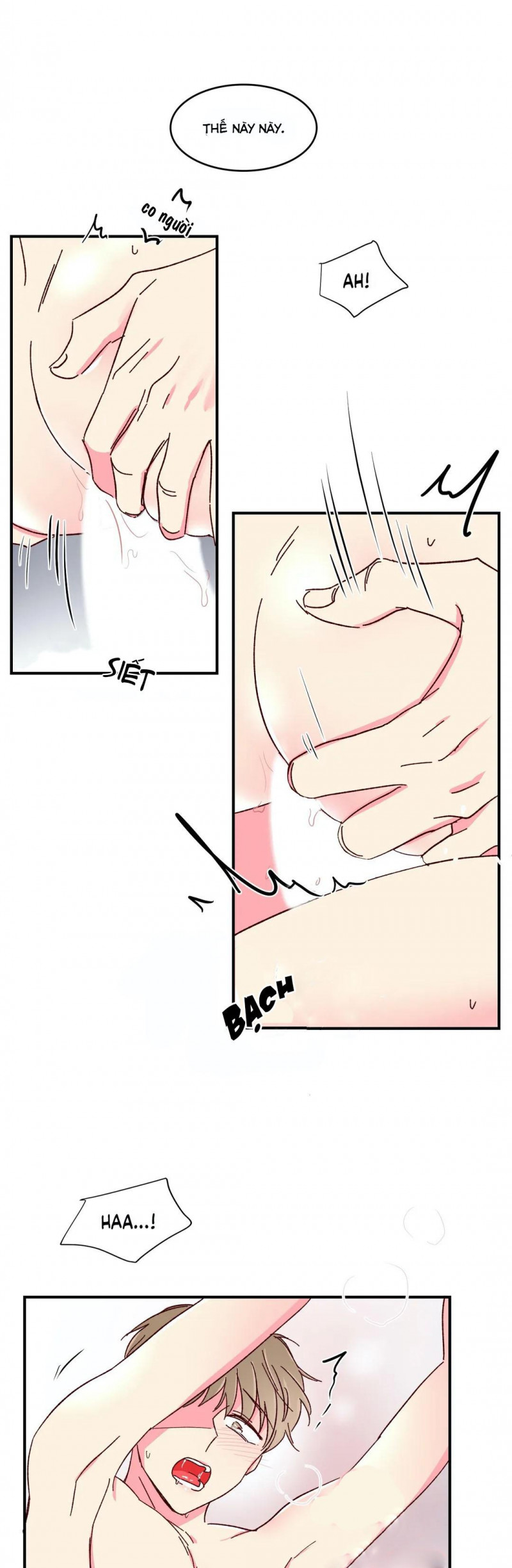 món tráng miệng của sếp tổng chapter 48 24