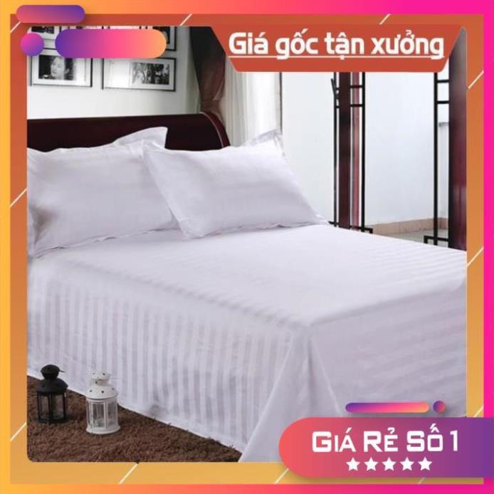 Bộ drap khách sạn cotton T300 trắng sọc