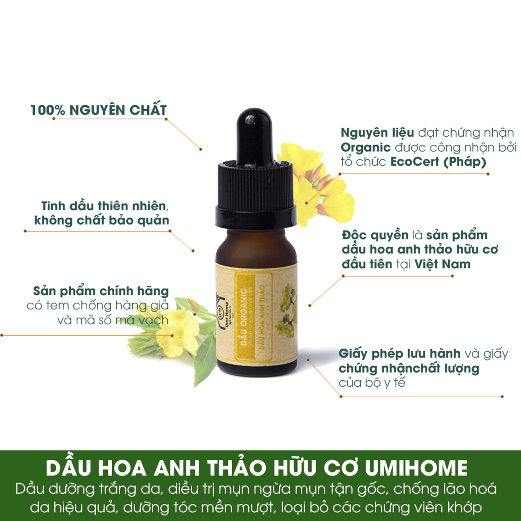 Dầu Hoa Anh Thảo hữu cơ UMIHOME nguyên chất - Evening Primrose oil 10ml