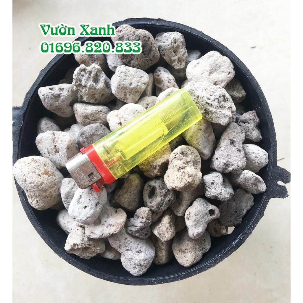 Đá bọt nhẹ, thoáng, giữ ẩm rất tốt cho lan size 1-2 cm