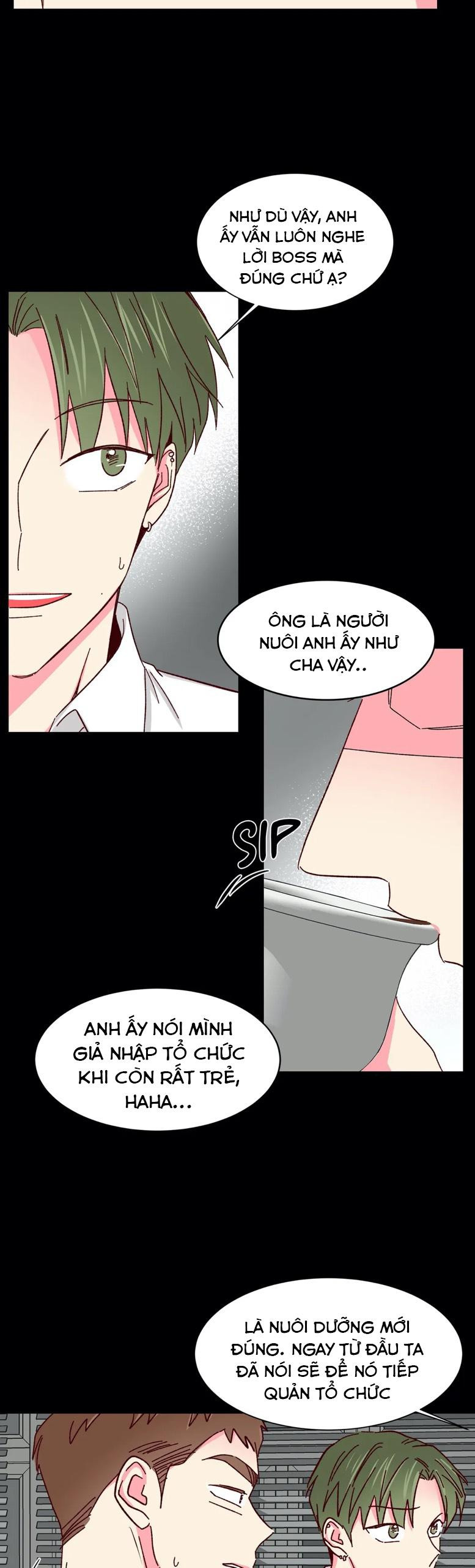 món tráng miệng của sếp tổng chapter 43 16