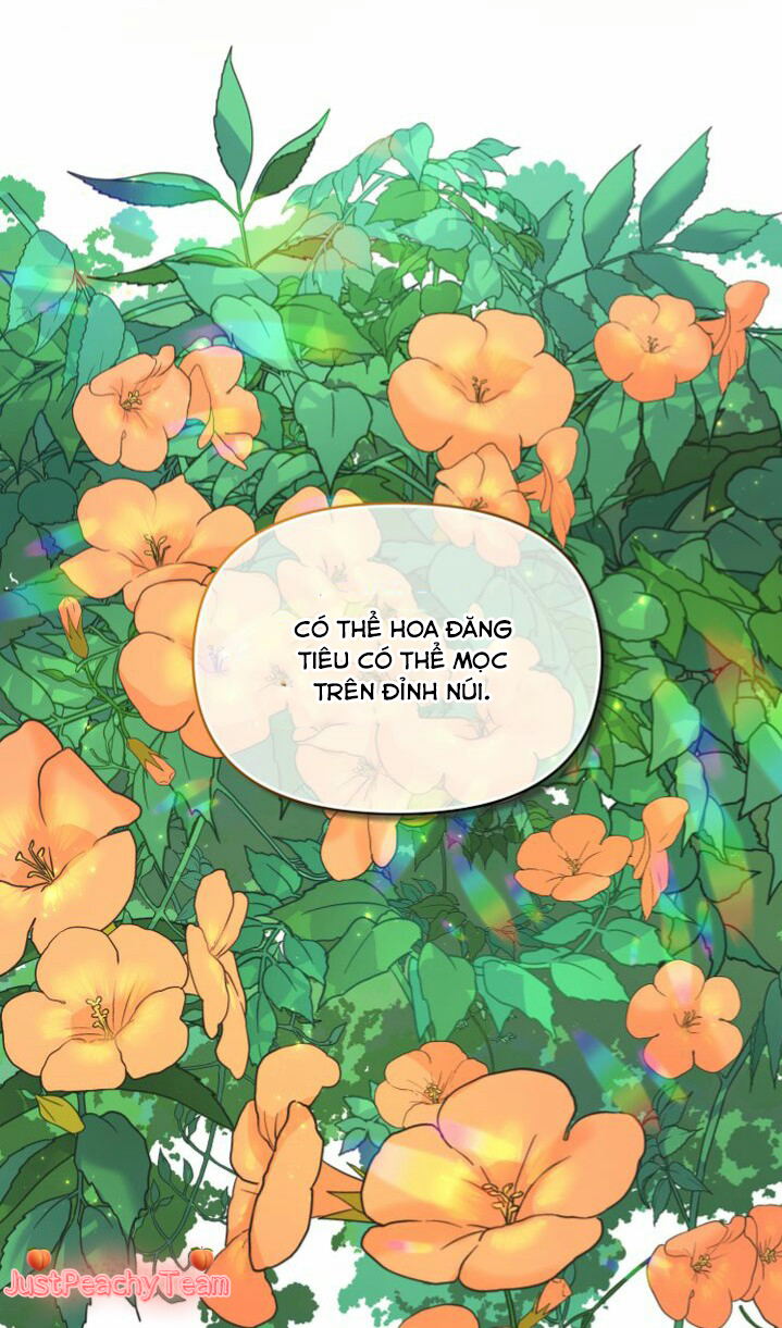 khi những nụ hoa nở rộ chapter 16 8