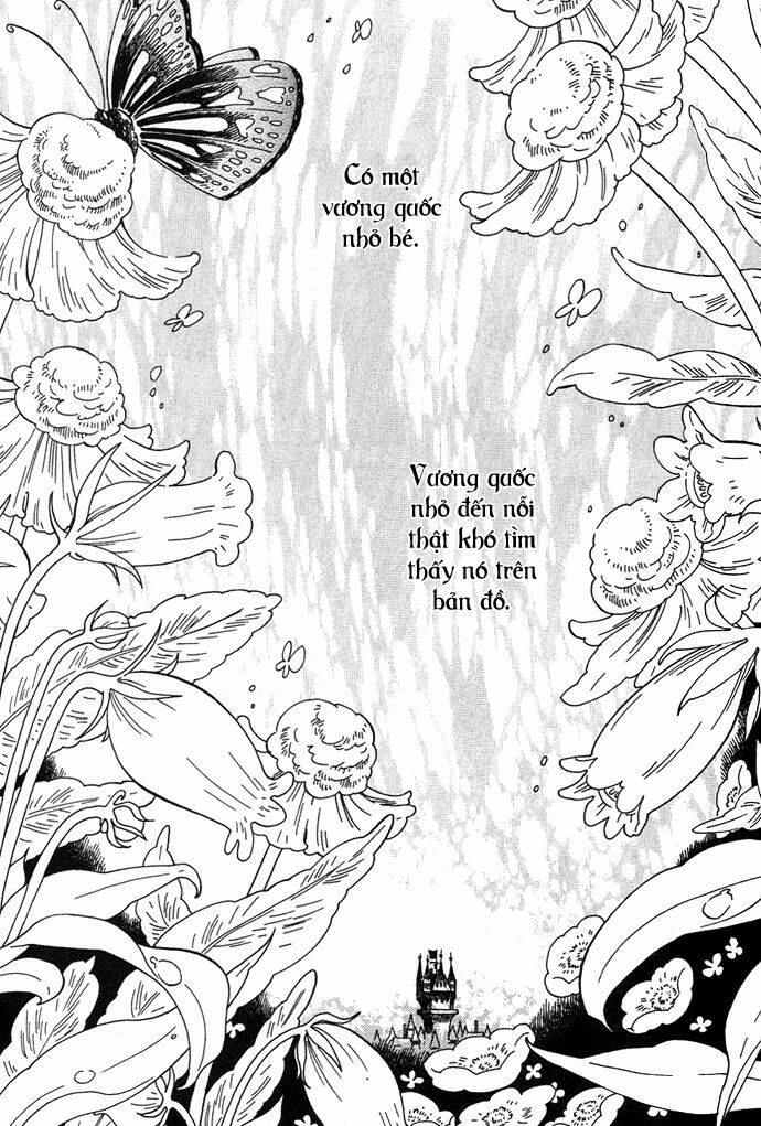 alone in my king's harem chapter 1 6