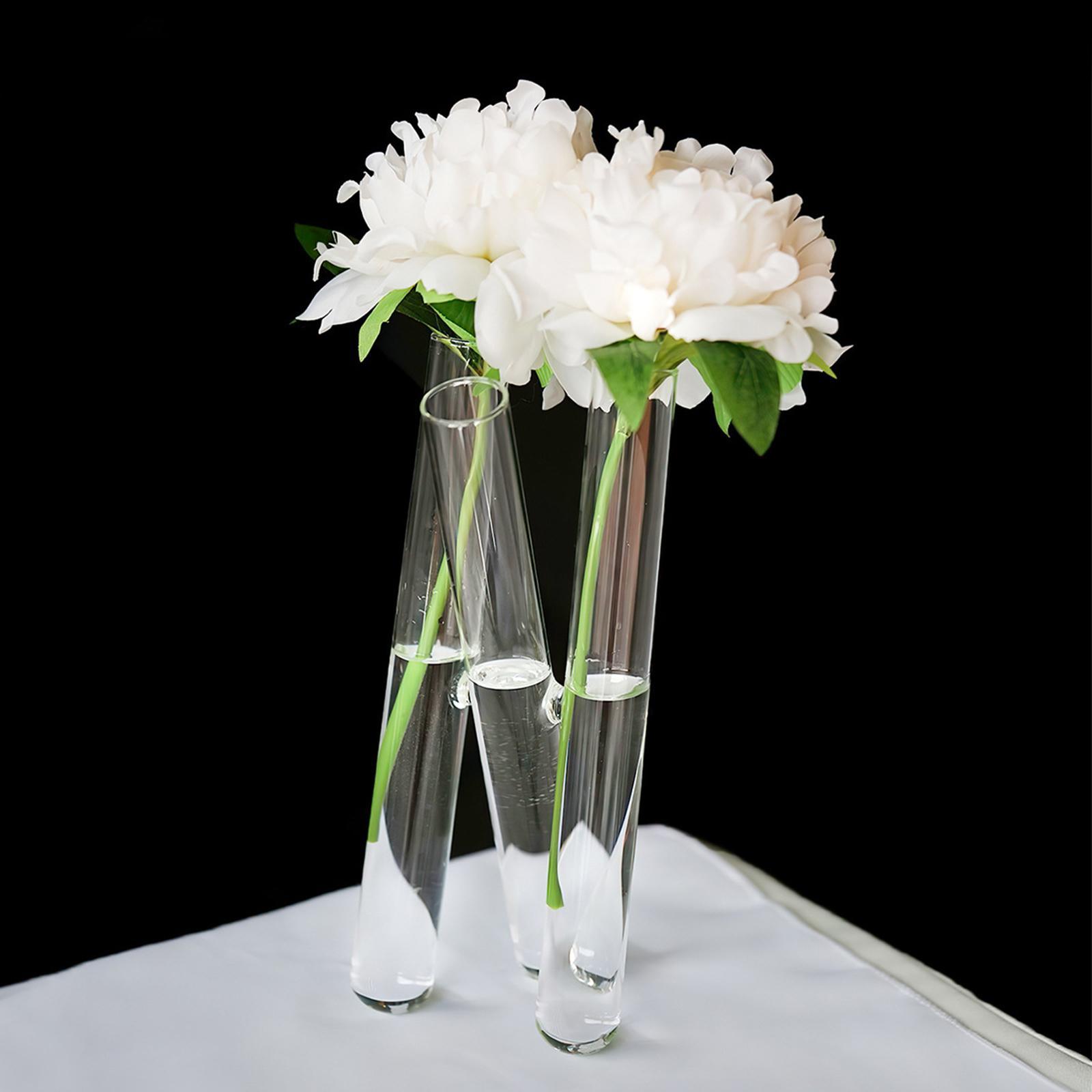 Test Tube Vase with 3 Test Tubes Flower Vase for Housewarming Wedding