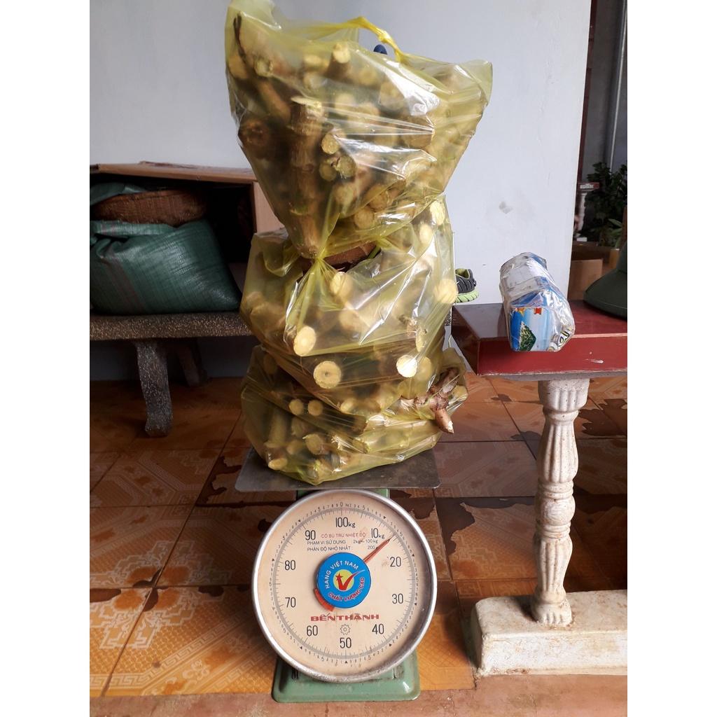 100 HOM GIỐNG KHOAI MÌ RUỘT VÀNG DẺO THÁI LAN.