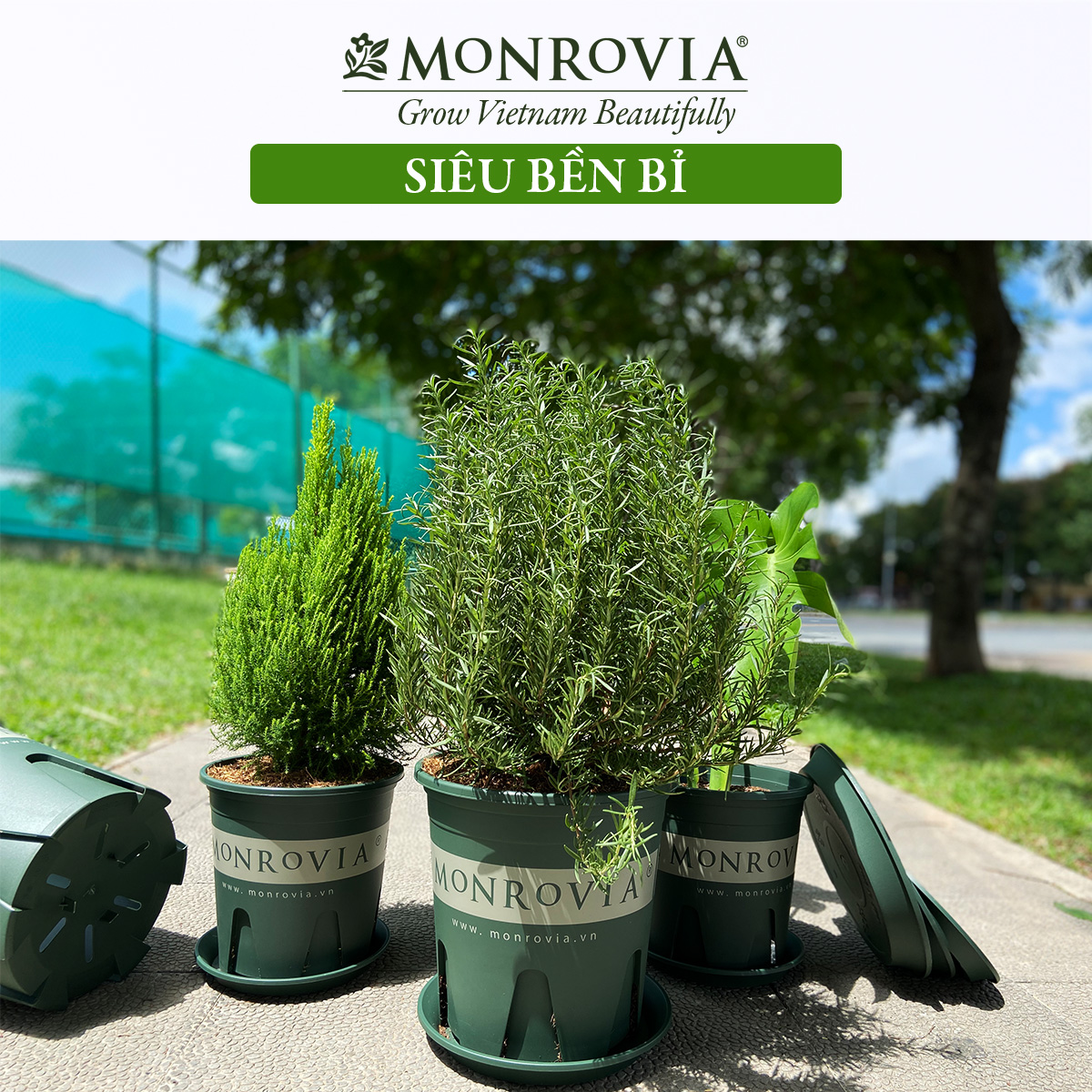 Chậu nhựa trồng cây MONROVIA 6 Gallon, Dòng M-Series, chậu trồng cây, chậu cây cảnh mini, để bàn, treo ban công, treo tường, cao cấp, chính hãng thương hiệu MONROVIA