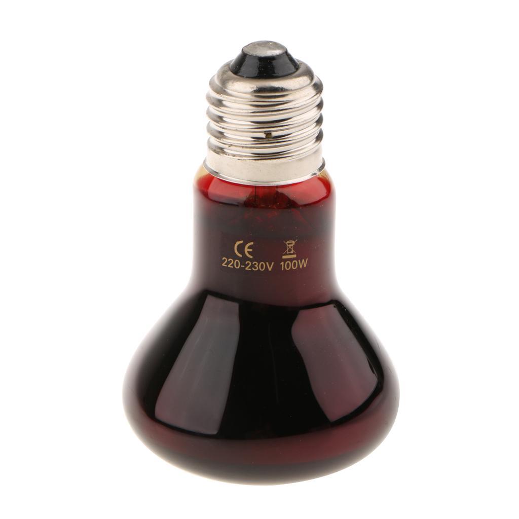 220V Reptile UVA Heat Light Bulb Night View E27 Heating Lamp-UK Plug