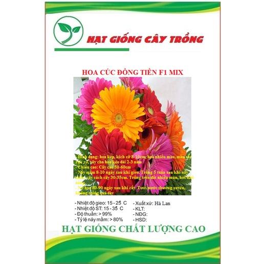 Hạt Giống Hoa Cúc Đồng Tiền F1 Nhiều Màu CT419 - Gói 10 hạt