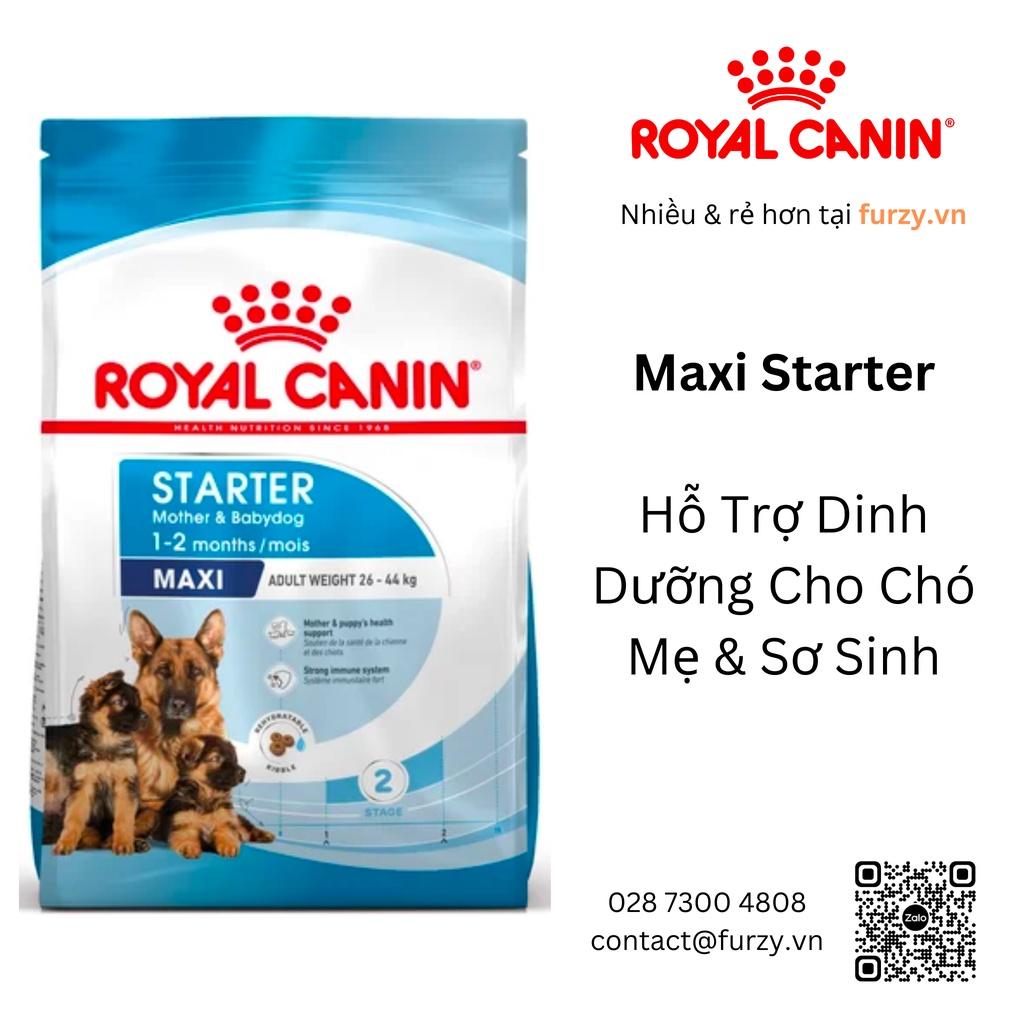 Royal Canin Thức Ăn Hạt Cho Chó Mang Thai &amp; Sơ Sinh (&lt;2 Tháng) Giống Lớn Maxi Starter