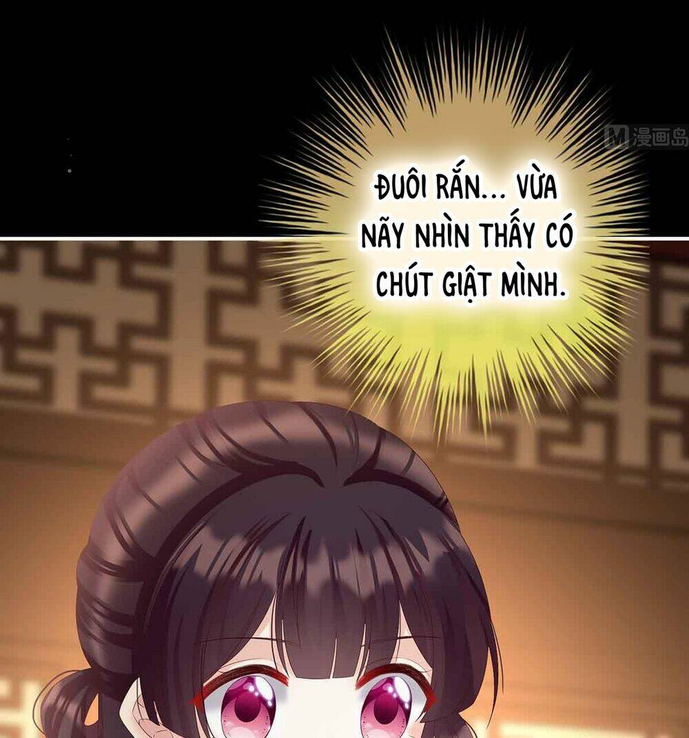 kiều phu có hỉ chapter 66 10