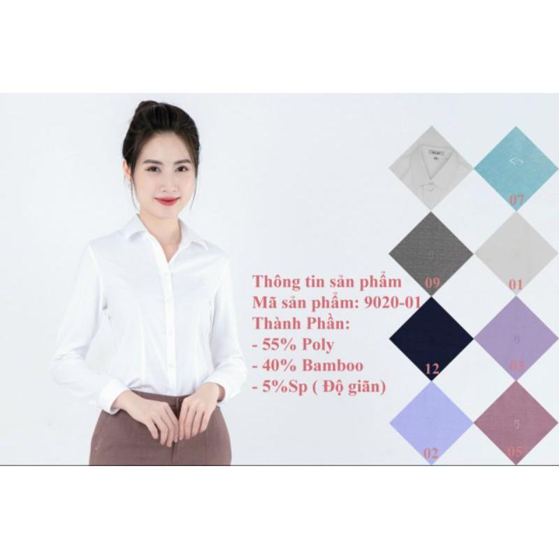 Áo sơmi trắng Thái Hoà
