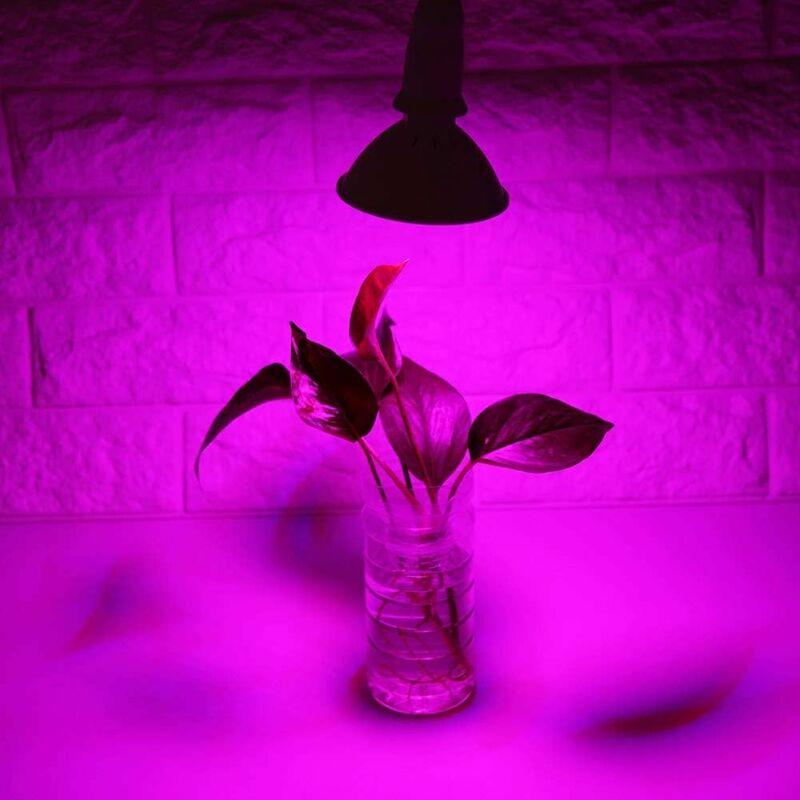 Hình ảnh Bóng đèn nuôi cấy LED, Bảng quang phổ E27 công suất cao 300 Rau thủy văn với nhà kính LED với cây hoa cho bóng đèn bên trong