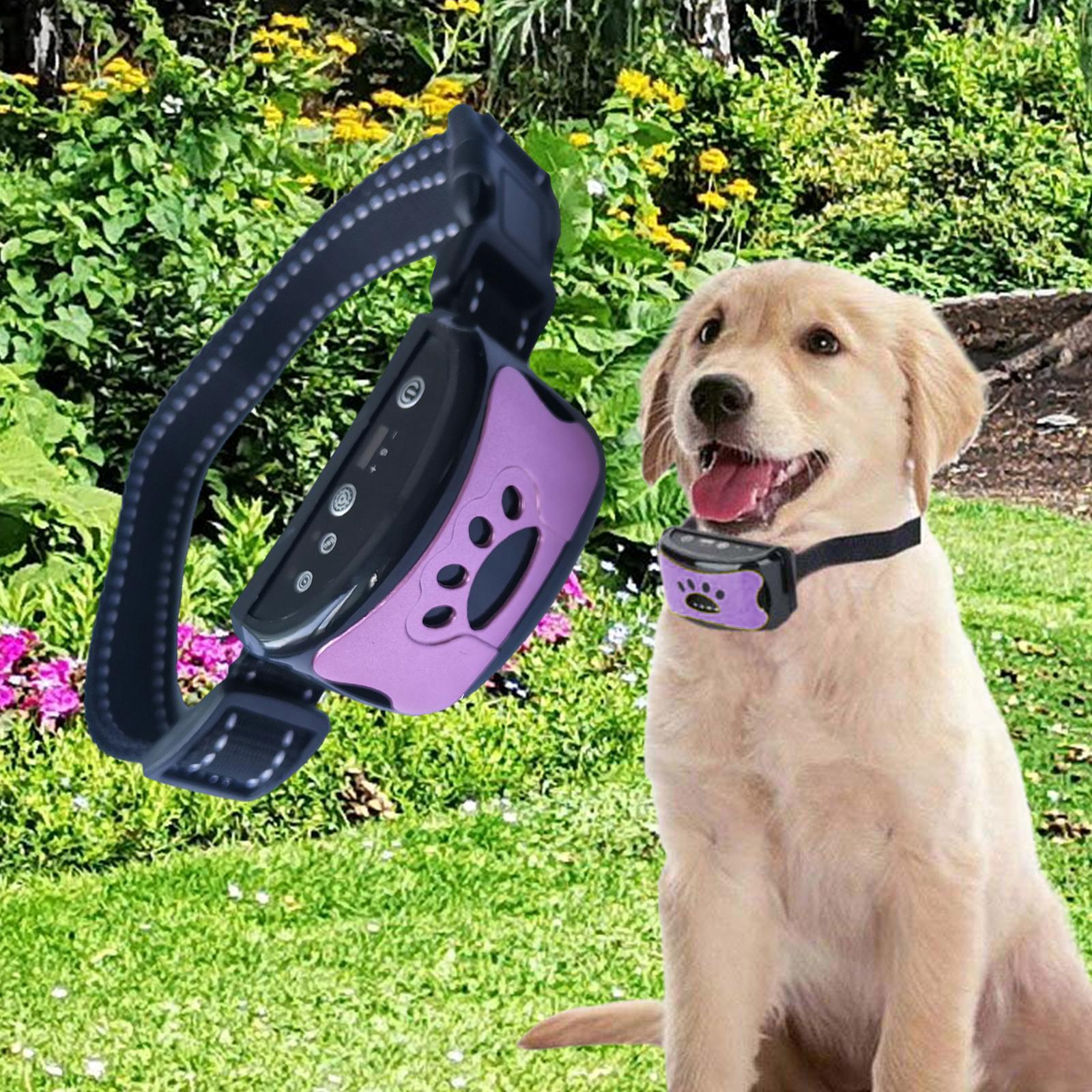 Collar for Dogs Sensitivity Stop for All Dogs