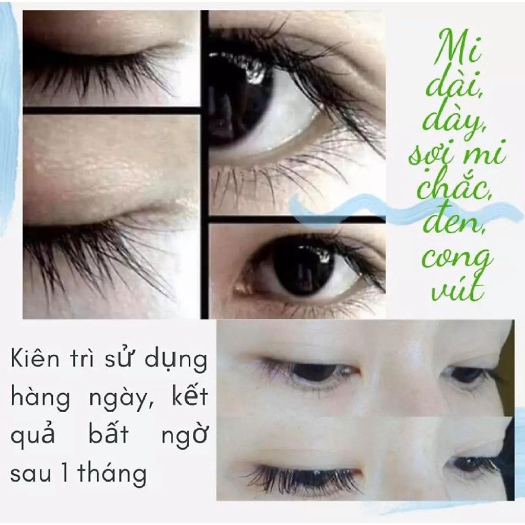 CHUỐT DƯỠNG LÀM DÀI, DÀY MI VÀ MÀY MẸ KEN