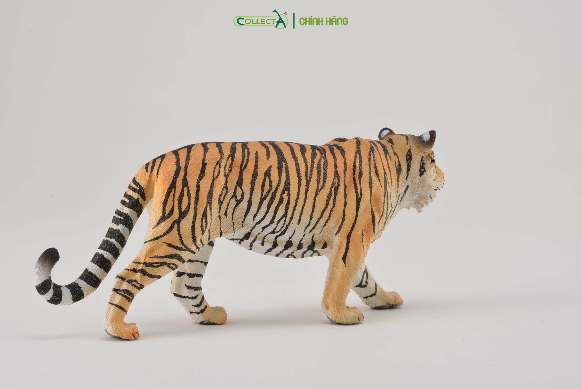 Mô hình thu nhỏ: Hổ - Siberian Tiger, hiệu: CollectA, mã HS 9651200[88789] - Chất liệu an toàn cho trẻ - Hàng chính hãng