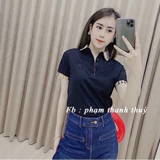 Áo thun cổ bẻ pha kẻ BBR ôm dáng, Áo phông ngắn tay thêu ngựa AS6012 - NhiNhi Shop