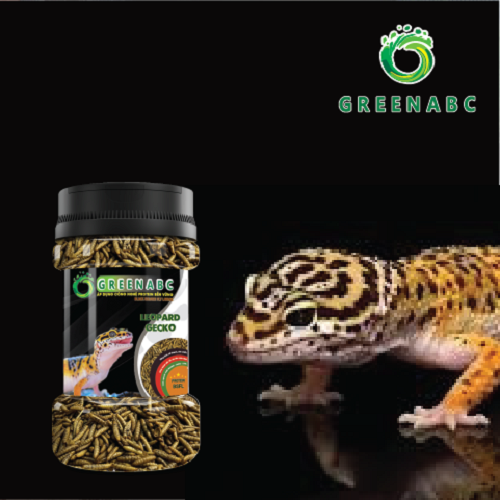 Thức ăn bò sát THẰN LẰN DA BÁO - Leopard Gecko