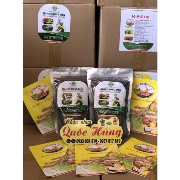 Hạt giống các loại rau cải