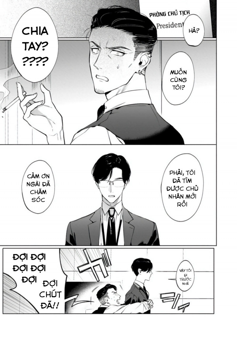 báo săn nơi công sở chapter 2 2