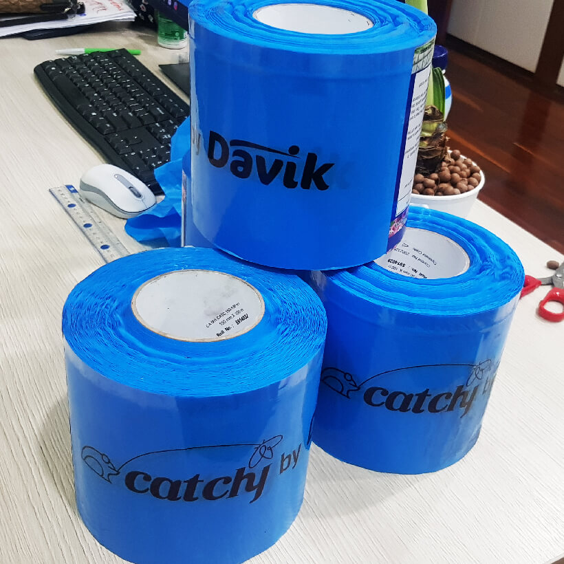 Keo dính Màu Xanh nhập khẩu Israel Blue Trap dùng Diệt Bọ Trĩ gây hại nông nghiệp và hiệu lực keo trên 8 tháng chịu mưa nắng và nước tưới