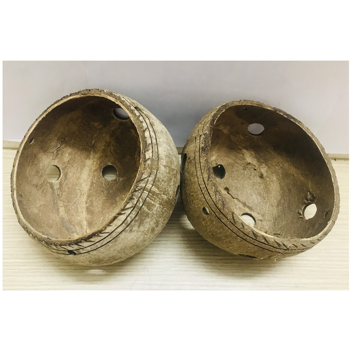 2 Gáo Dừa Trồng Hoa Cây Cảnh