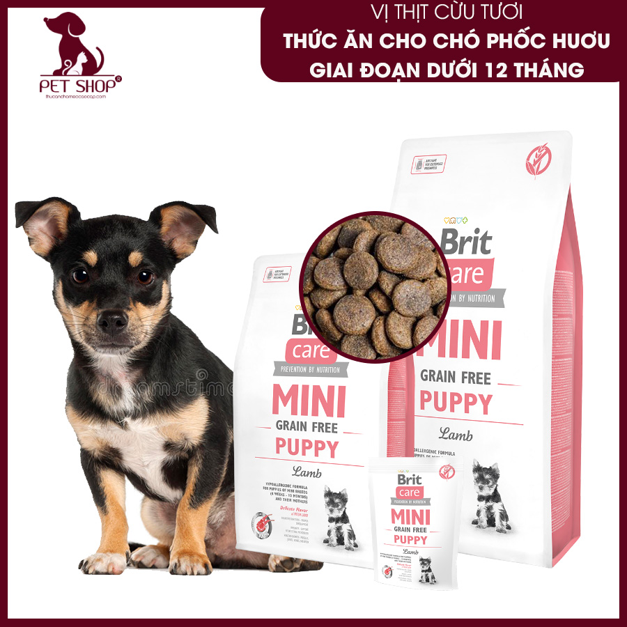 Thức Ăn Cho Chó Phốc Huơu Dưới 12 Tháng Tuổi, Chó Mẹ Cho Con Bú - Brit Care Mini Grain Free Puppy