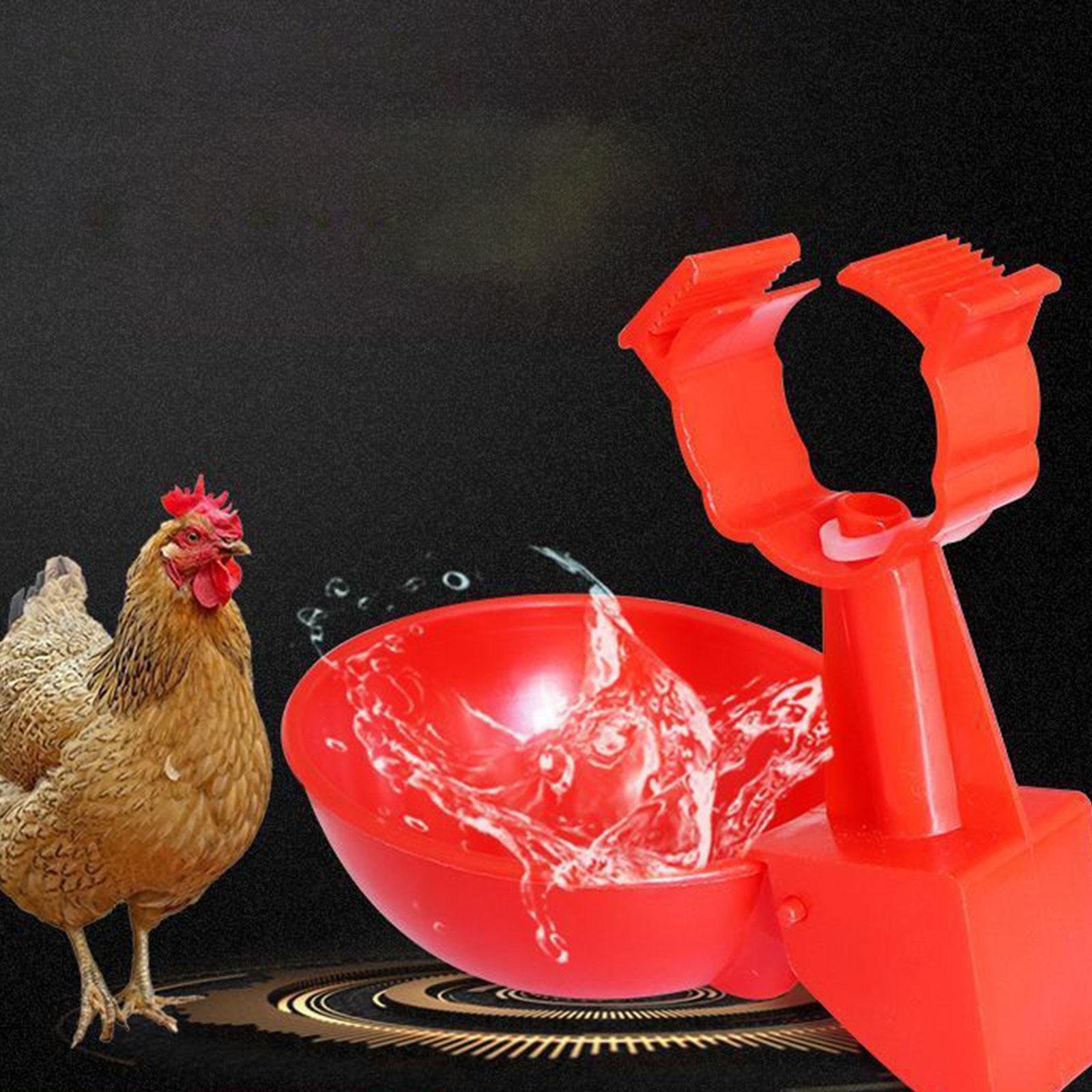 Poultry Drinking Bowl Feeder Water Dispenser Automatic Chicken Water Cup