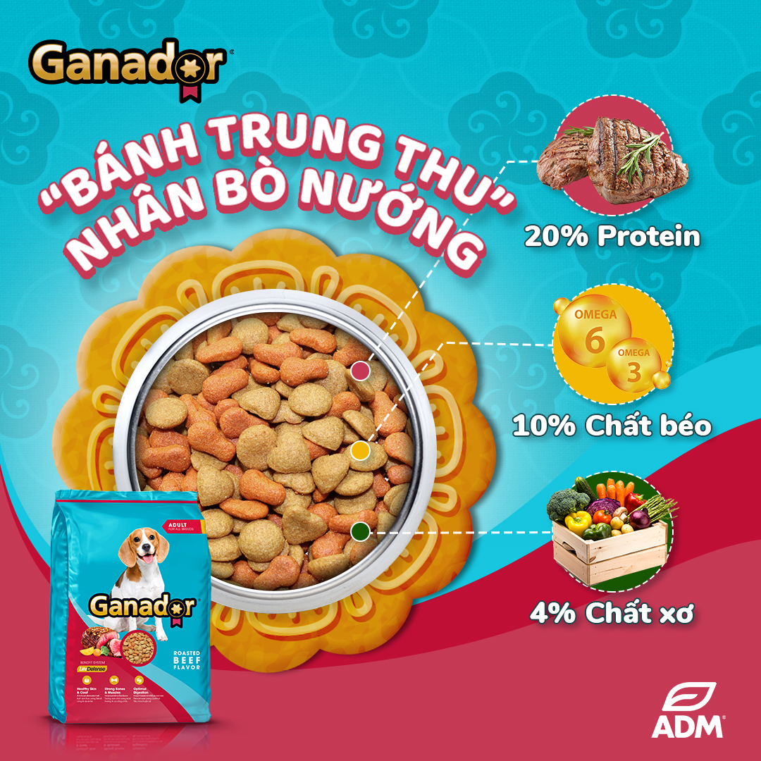 Thức Ăn Hạt Cho Chó Lớn Vị Thịt Bò Ganador Adult Roasted Beef Gói 3kg