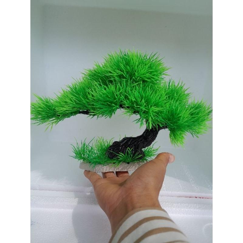 Bonsai bể cá cảnh - cây trang trí hòn non bộ tiểu canh-cây để bàn