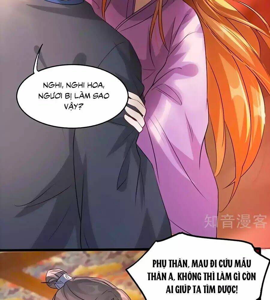 gian phi như thử đa kiều chapter 69 61