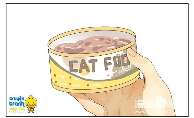 cứu mạng ! loài mèo thống trị thế giới rồi ! chapter 24 11