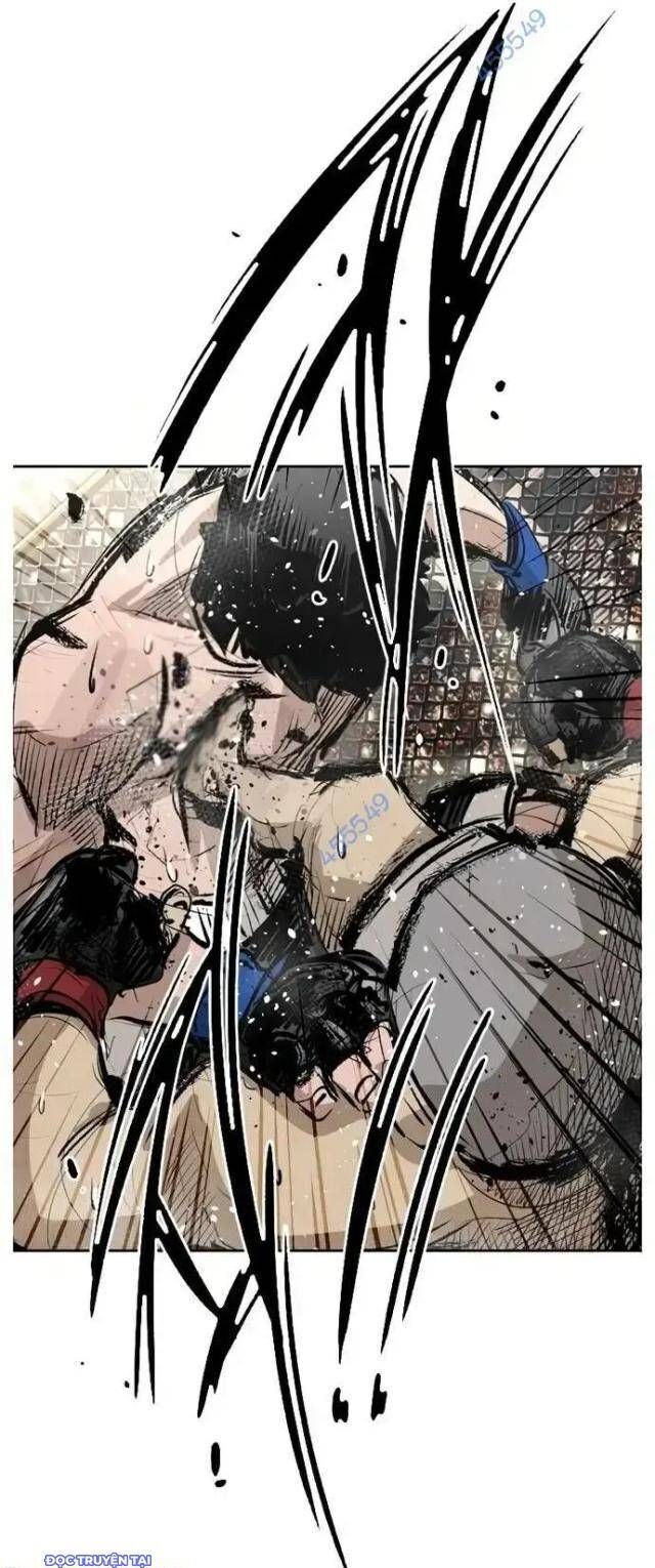 shark - cá mập chapter 146 25