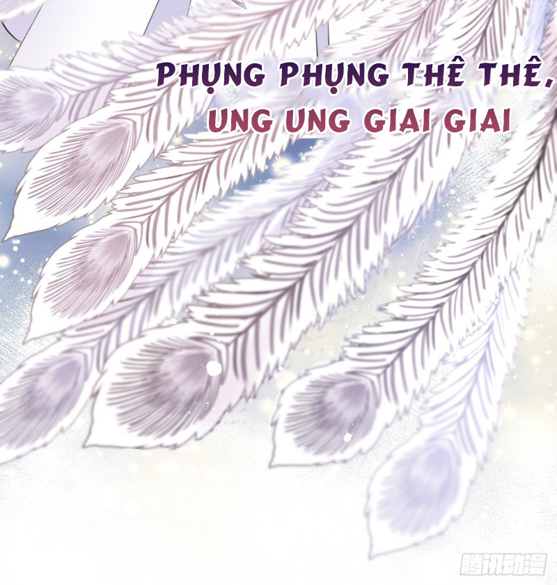 lễ băng nhạc hoại chi dạ chapter 2 46