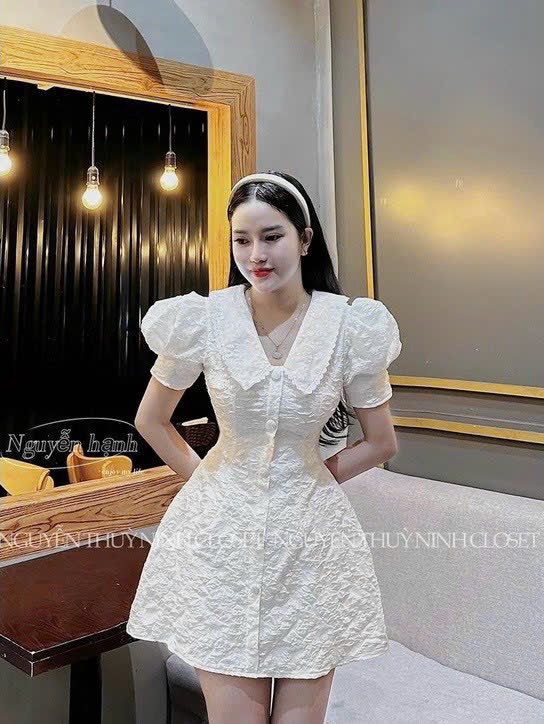 ĐẦM GẤM CỔ VIỀN REN TAY PHỒNG  2 MÀU Y HÌNH