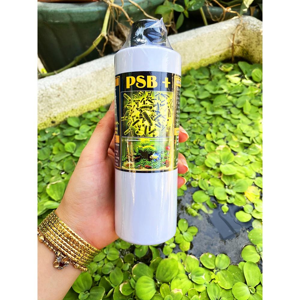 Vi Sinh PSB + Tăng 30% độ đậm đặc - Siêu làm trong nước