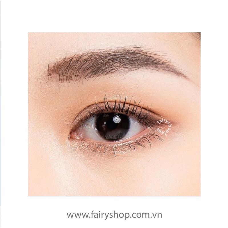 Áp tròng LATTE Black AMPA BLACK- Kính Áp Tròng FAIRY SHOP CONTACT LENS độ cận 0 đến 6