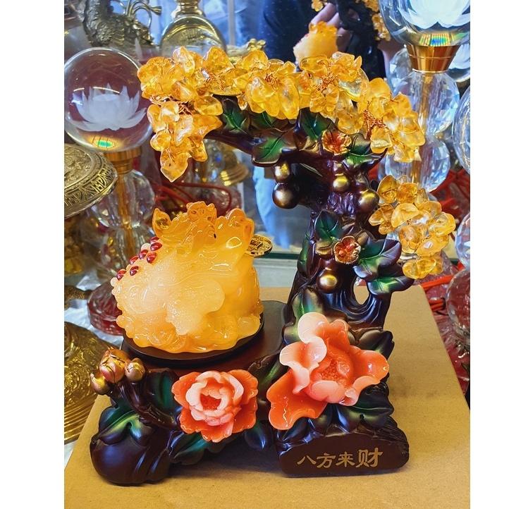 Cóc phong thủy + cây tài lộc 3 cỡ cao 17cm, 23cm