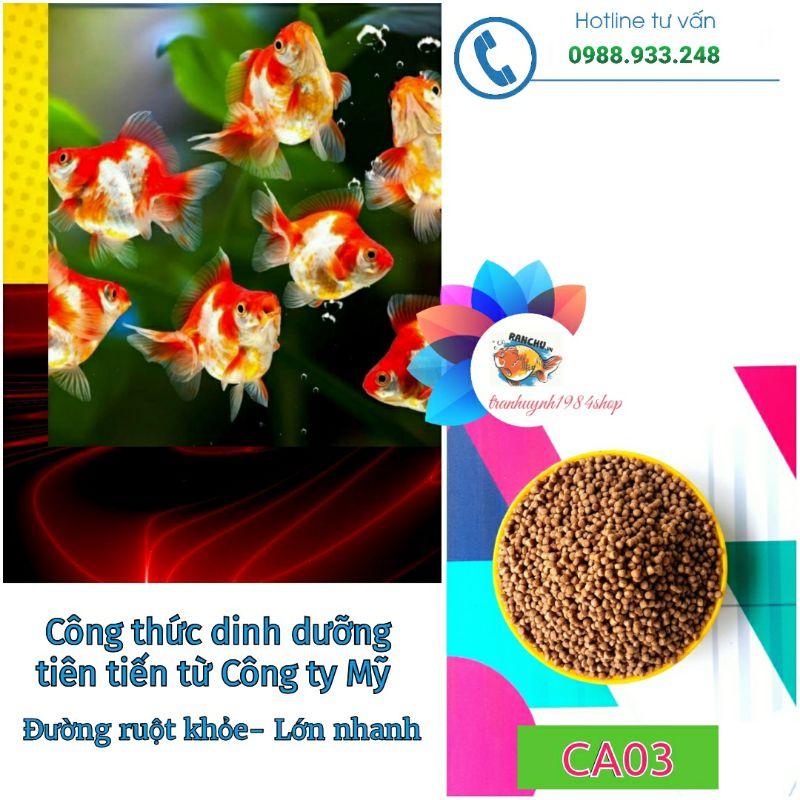 1KG Cám cá vàng, cá Koi AF CA01 tăng size nhanh lên màu mạnh