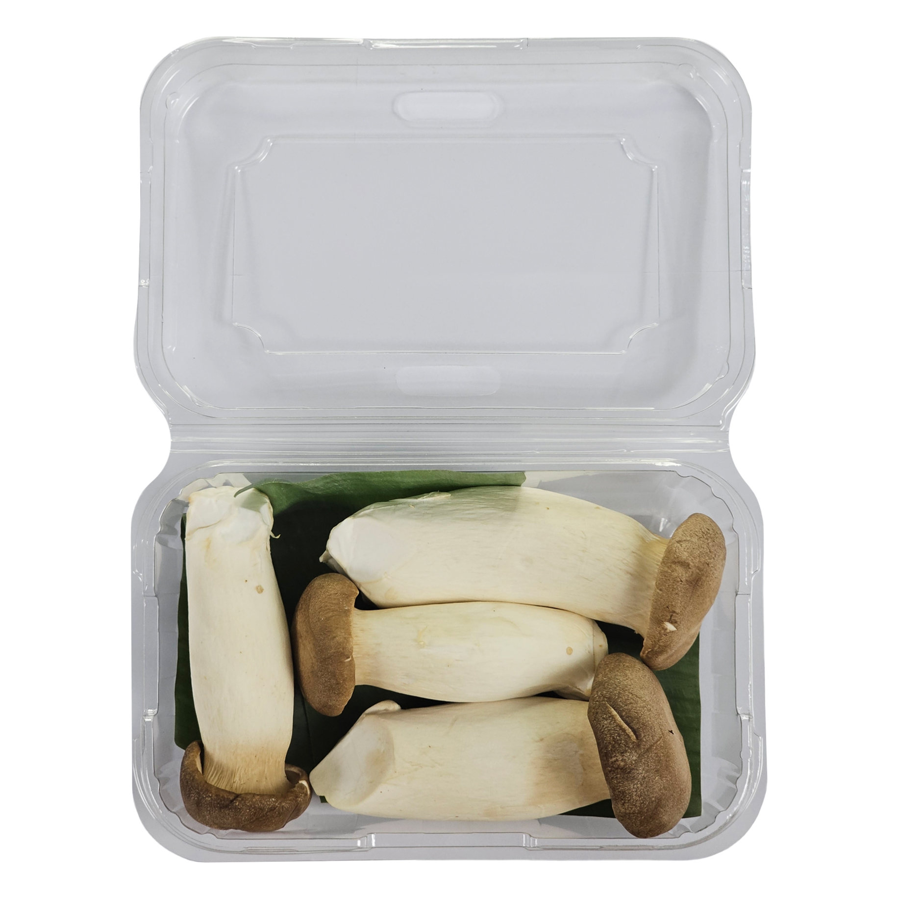 Nấm Đùi Gà 1kg Ngon Sạch - Nông Trại Nấm Xanh