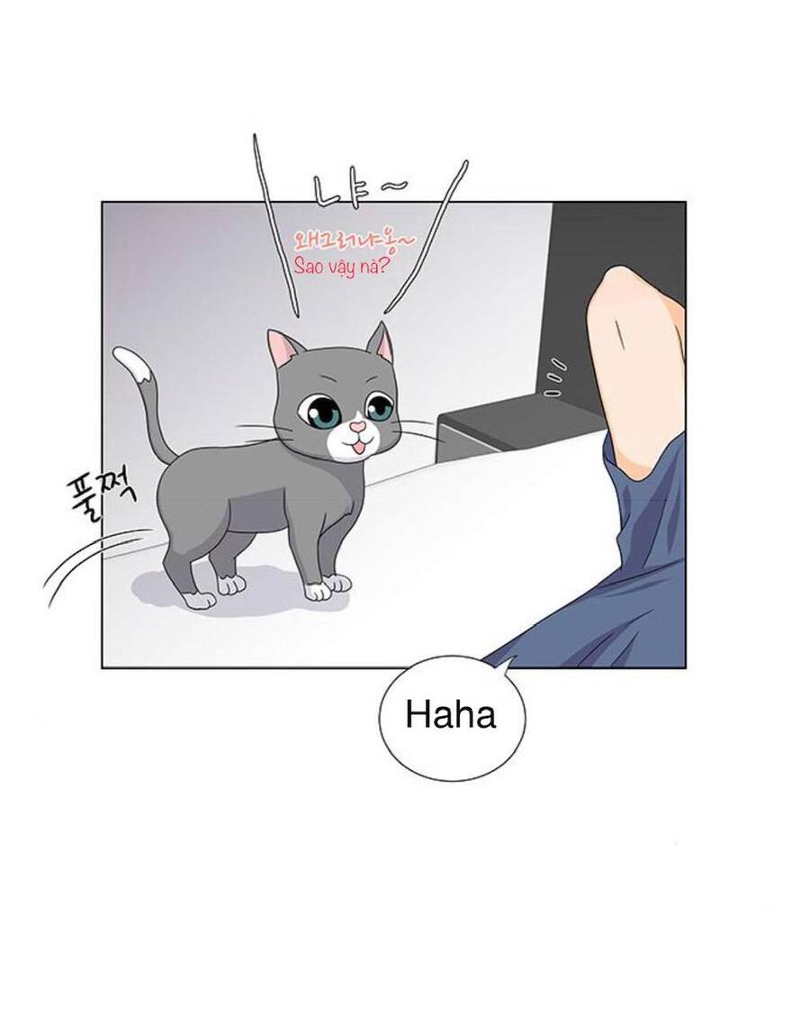 idol và sếp, em yêu ai? chapter 77 16